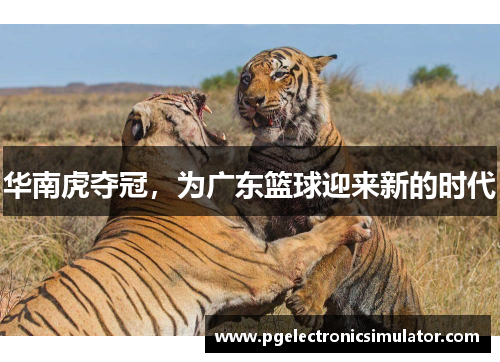 华南虎夺冠，为广东篮球迎来新的时代