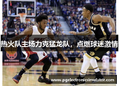 热火队主场力克猛龙队，点燃球迷激情