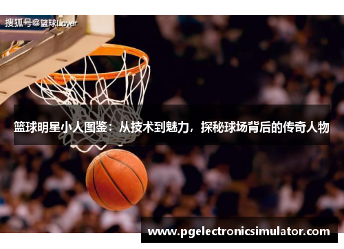 篮球明星小人图鉴：从技术到魅力，探秘球场背后的传奇人物