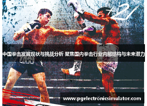 中国拳击发展现状与挑战分析 聚焦国内拳击行业内部结构与未来潜力